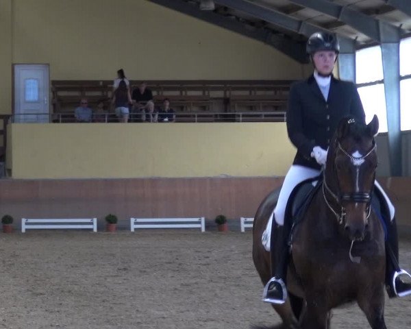 Reitturnier Frechen-Grefrath - Sonnenhof 2017