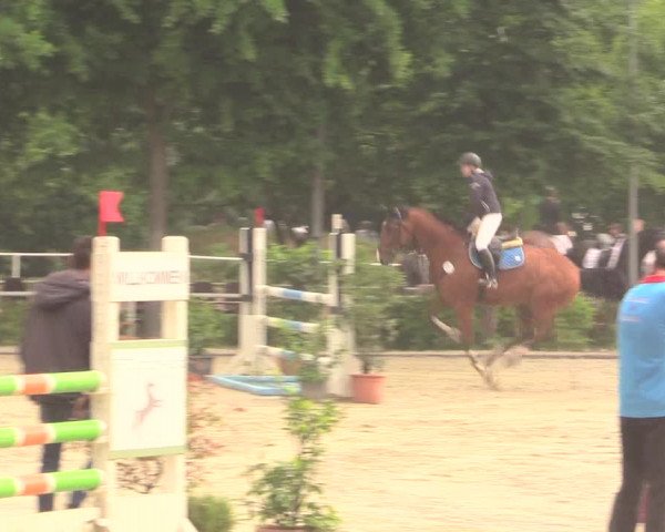 Reitturnier Bochum-Nord 2017