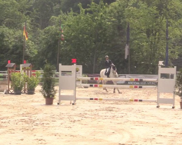 Reitturnier Bochum-Nord 2017