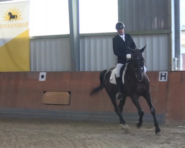 Reitturnier Frechen-Grefrath - Sonnenhof 2017