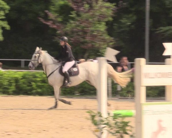 Reitturnier Bochum-Nord 2017