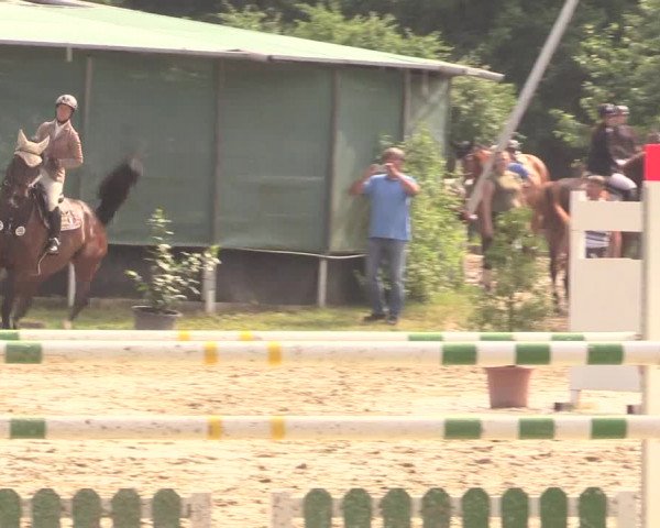 Reitturnier Bochum-Nord 2017