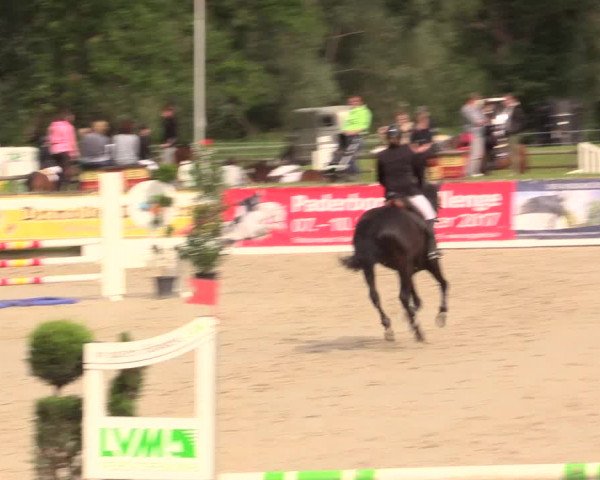 Reitturnier Detmold-Remmighausen 2017