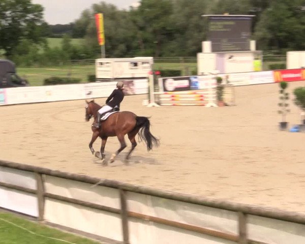 Reitturnier Detmold-Remmighausen 2017