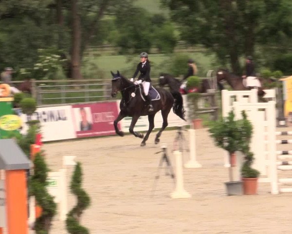 Reitturnier Detmold-Remmighausen 2017
