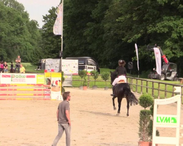 Reitturnier Detmold-Remmighausen 2017
