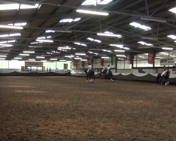 Reitturnier Bochum-Nord 2017