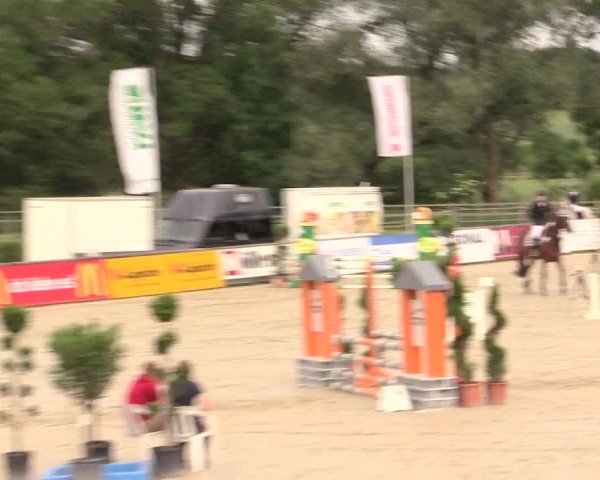 Reitturnier Detmold-Remmighausen 2017