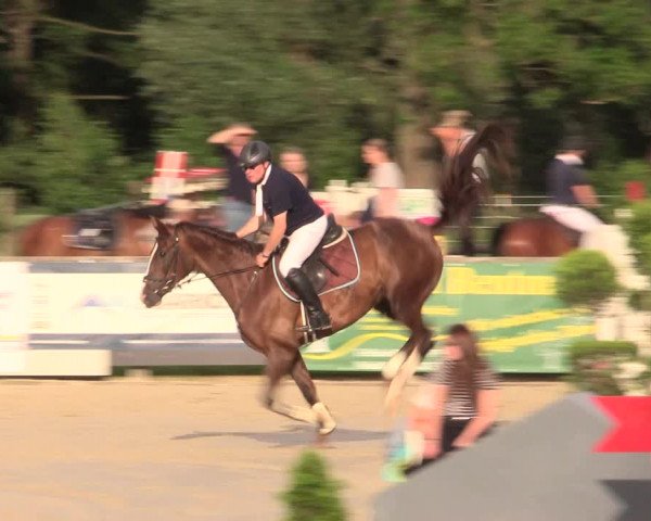 Reitturnier Detmold-Remmighausen 2017