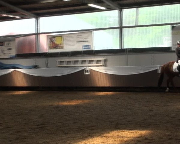 Reitturnier Bochum-Nord 2017