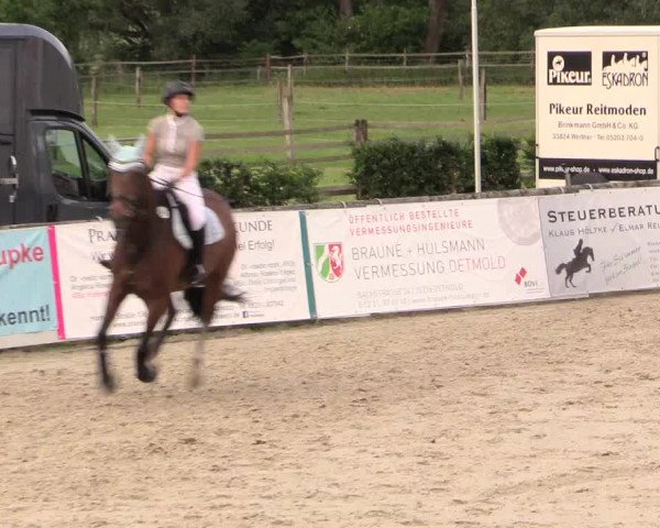 Reitturnier Detmold-Remmighausen 2017