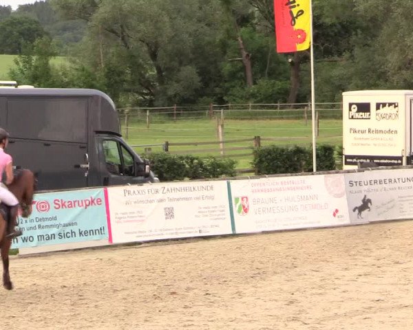 Reitturnier Detmold-Remmighausen 2017