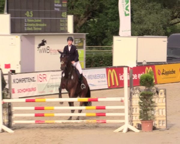 Reitturnier Detmold-Remmighausen 2017