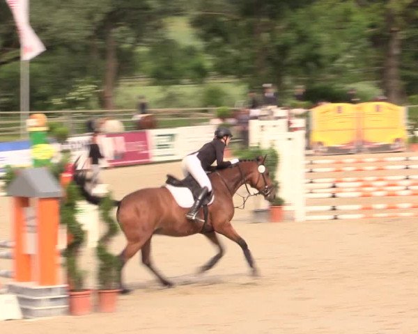 Reitturnier Detmold-Remmighausen 2017