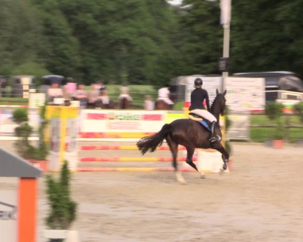 Reitturnier Detmold-Remmighausen 2017