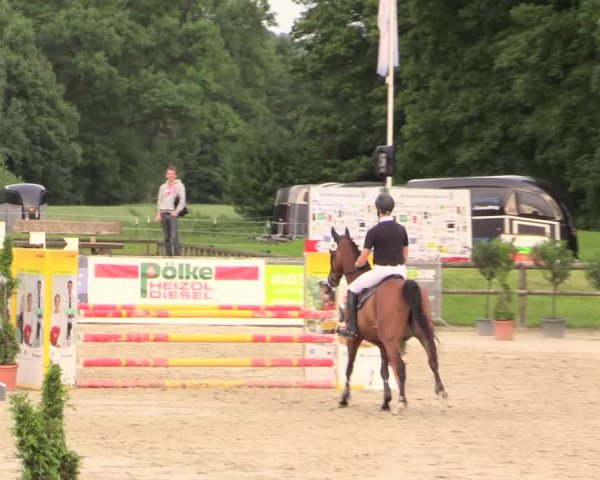 Reitturnier Detmold-Remmighausen 2017