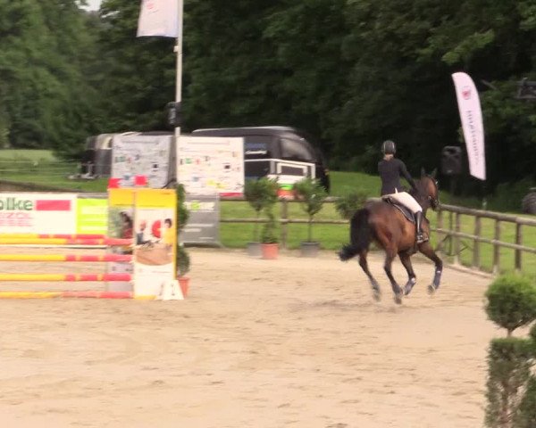 Reitturnier Detmold-Remmighausen 2017
