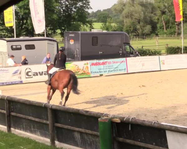 Reitturnier Detmold-Remmighausen 2017