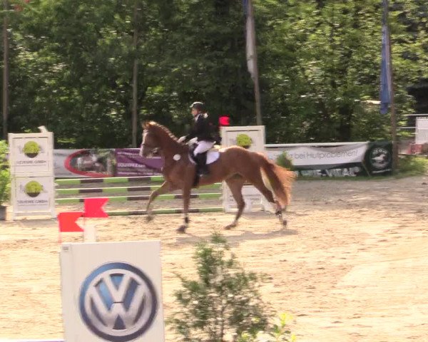 Reitturnier Bochum-Nord 2017