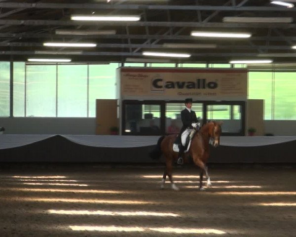Reitturnier Bochum-Nord 2017