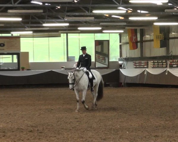 Reitturnier Bochum-Nord 2017
