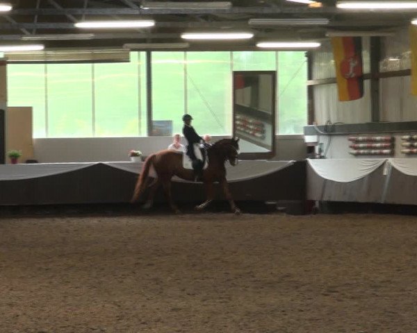 Reitturnier Bochum-Nord 2017