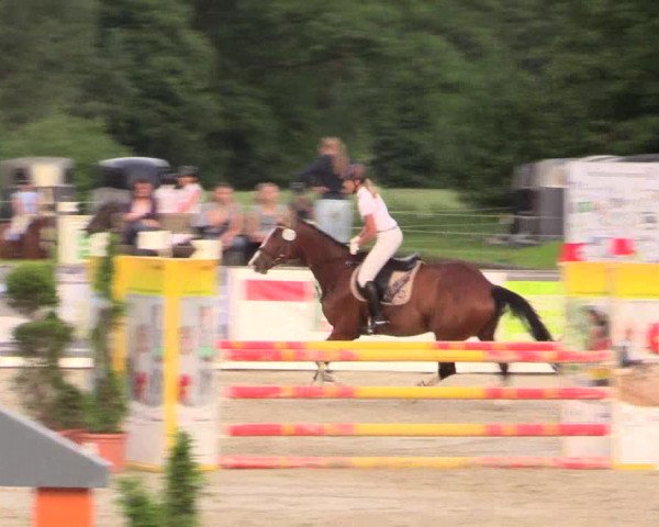 Reitturnier Detmold-Remmighausen 2017