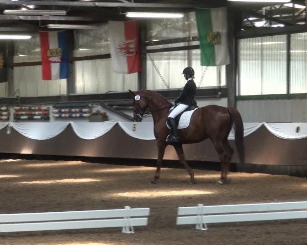 Reitturnier Bochum-Nord 2017