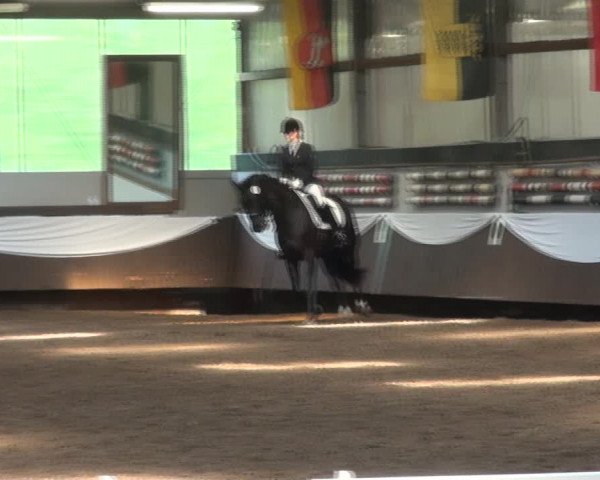 Reitturnier Bochum-Nord 2017