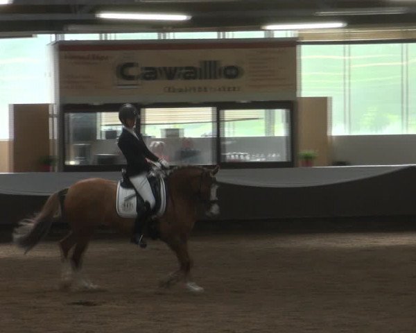 Reitturnier Bochum-Nord 2017