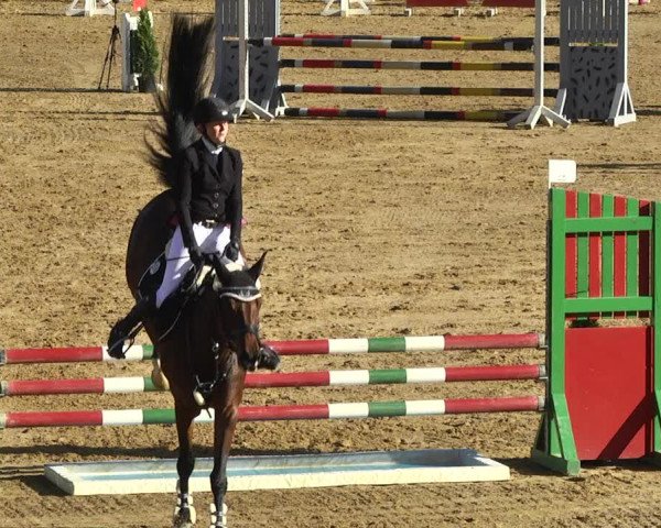 Reitturnier Schwaiganger 2017