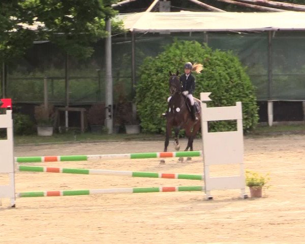 Reitturnier Bochum-Nord 2017