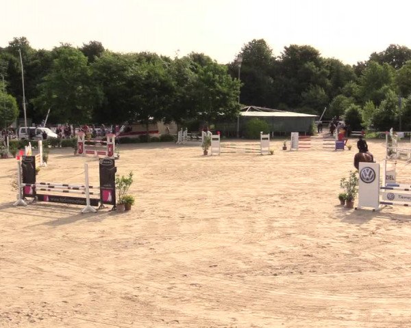 Reitturnier Bochum-Nord 2017
