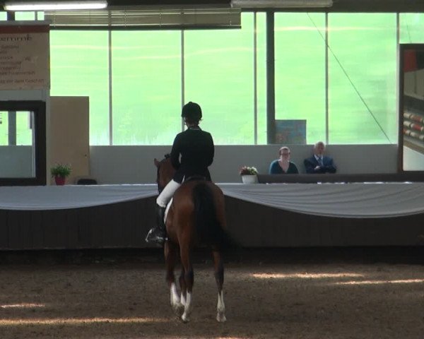Reitturnier Bochum-Nord 2017