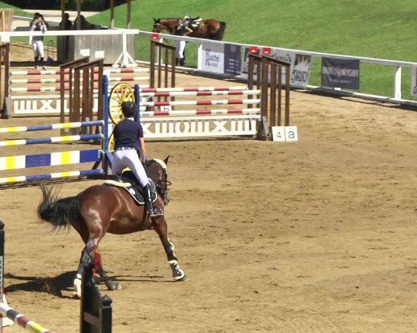 Reitturnier Schwaiganger 2017