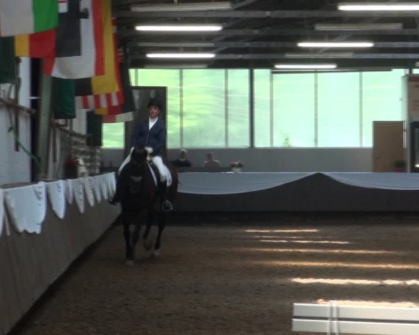 Reitturnier Bochum-Nord 2017