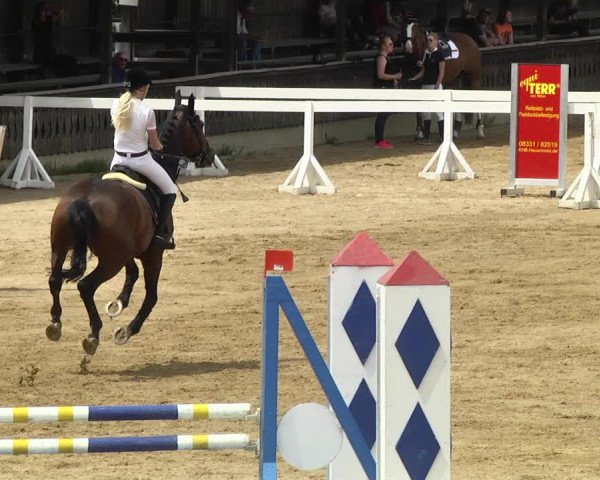 Reitturnier Schwaiganger 2017