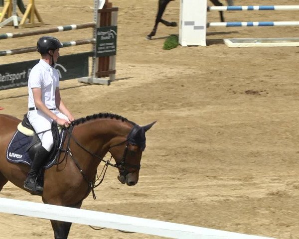 Reitturnier Schwaiganger 2017