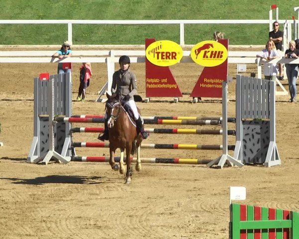 Reitturnier Schwaiganger 2017
