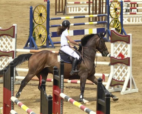 Reitturnier Schwaiganger 2017