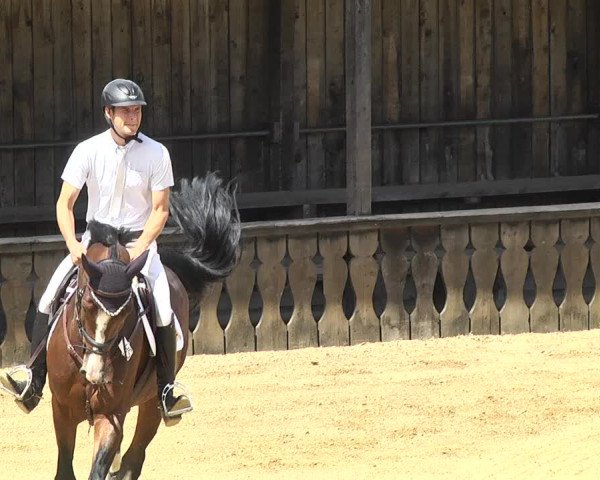 Reitturnier Schwaiganger 2017