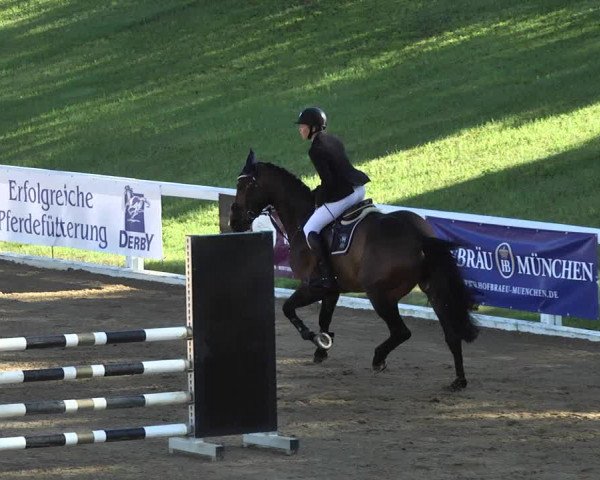 Reitturnier Schwaiganger 2017