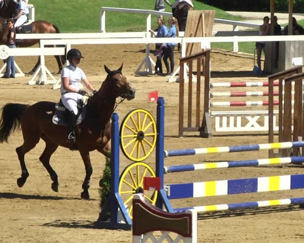 Reitturnier Schwaiganger 2017