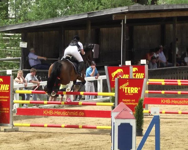 Reitturnier Schwaiganger 2017