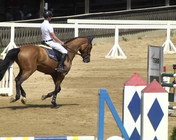 Reitturnier Schwaiganger 2017