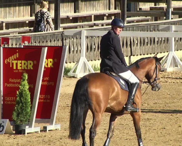 Reitturnier Schwaiganger 2017