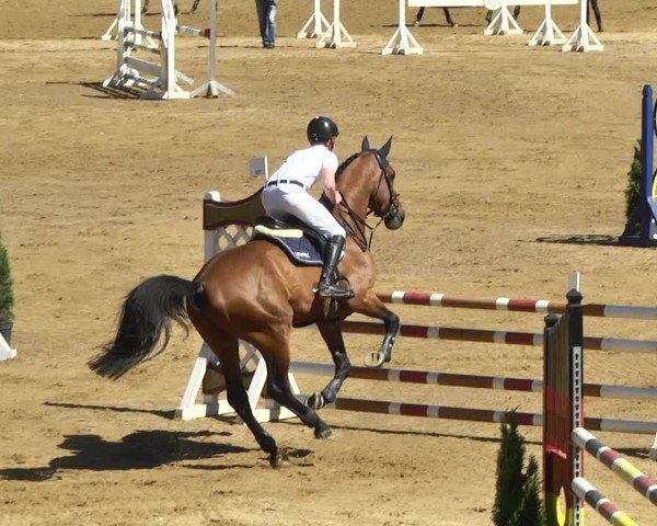 Reitturnier Schwaiganger 2017