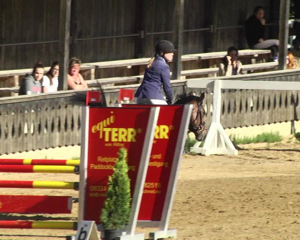 Reitturnier Schwaiganger 2017