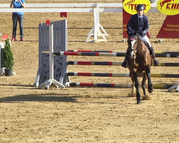 Reitturnier Schwaiganger 2017