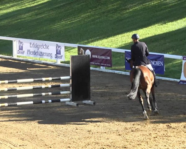 Reitturnier Schwaiganger 2017